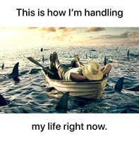 This is how I am handling my life